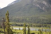 03 - Bow Lake  - IMG_0860